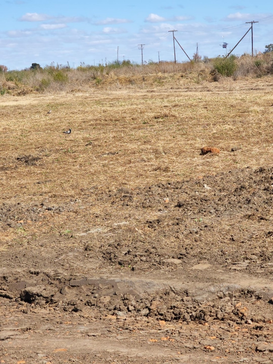 Commercial Property for Sale in Potchefstroom Rural North West
